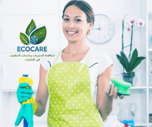 شركة تنظيف بالساعة في عجمان