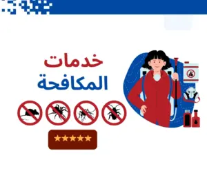 أهمية مكافحة الحشرات في المنازل