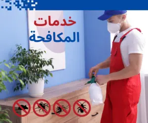 مكافحة حشرات في منازل الشارقة