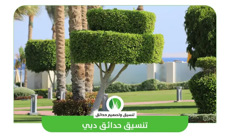 تنسيق حدائق دبي