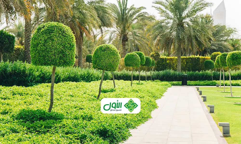 تنسيق حدائق