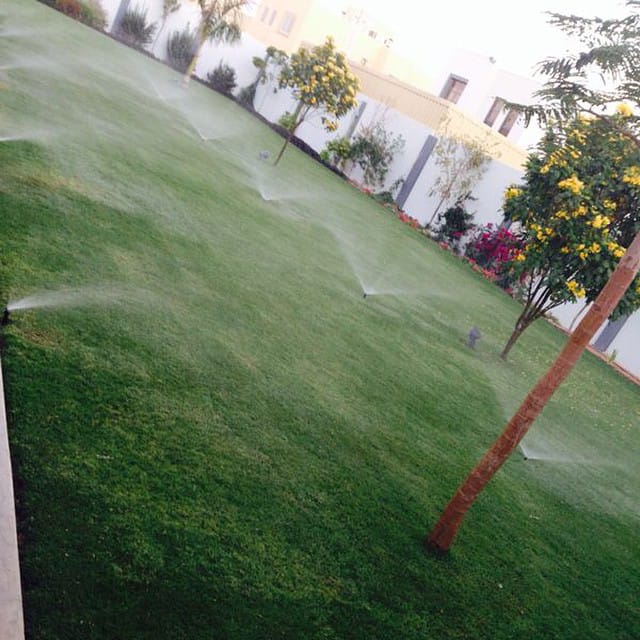 تنسيق حدائق ف الرياض